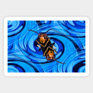 Hornet in the whirlpool / Swiss Artwork Photography Sticker